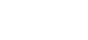 LOGO INSER