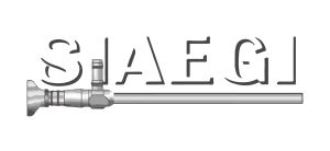 LOGO SIAEGI